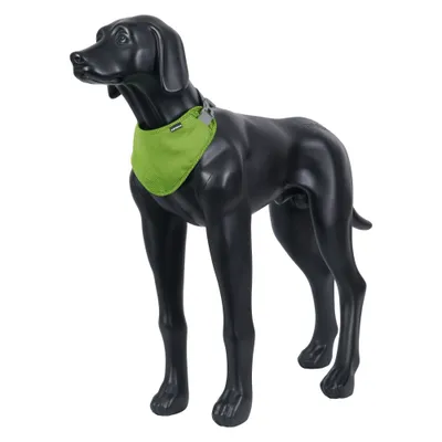 Icepeak Pet Cooling Dog Bandana – Green
