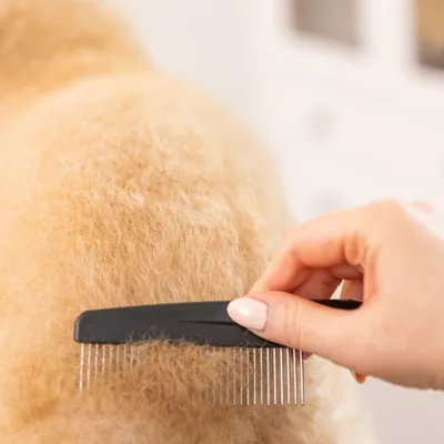 Wahl Grooming Comb hundkam Wahl Grooming Comb hundkam