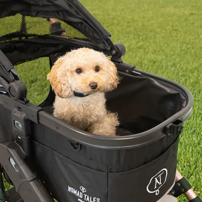 Nomad Tales Hundewagen mit schwarzem Stoff und Netzabdeckung, kleiner Hund sitzt darin. Markenlogo sichtbar auf der Vorderseite des Wagens.