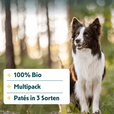 Multipack Yarrah Bio Wellness Paté 24 x 150 g Multipack Yarrah Bio Wellness Paté 24 x 150 g