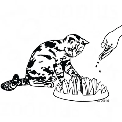 Ilustración de un gato jugando con un juguete interactivo para comida. Una mano pone comida en el juguete.