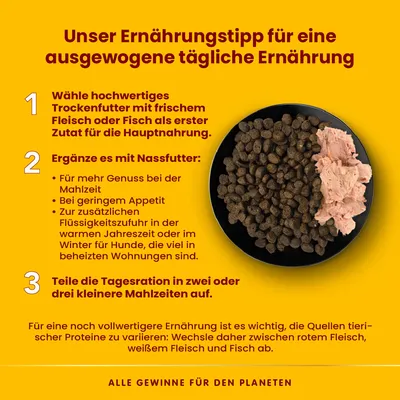 Ernährungstipps: 1. Hochwertiges Trockenfutter mit Fleisch/Fisch als Hauptzutat wählen. 2. Mit Nassfutter ergänzen für Genuss, Appetit und Flüssigkeit. 3. Tagesration in kleinere Mahlzeiten teilen.