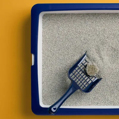 Catsan Ultra plus Klumpstreu