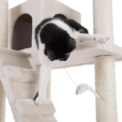 Kat speelt op een krabpaal met een witte speelmuis, krabpaal met sisalstammen, een grot en een pluchen ladder zichtbaar.