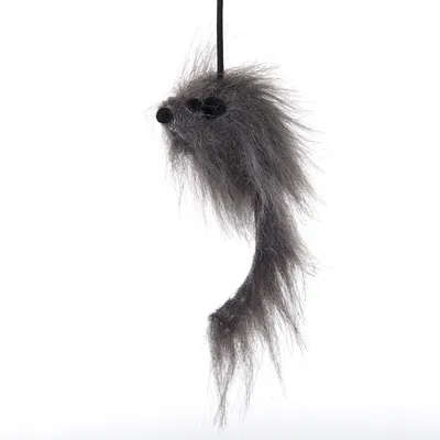 Graues Katzenspielzeug in Form einer Maus mit Fell und langem Schwanz, an einem schwarzen Band befestigt.