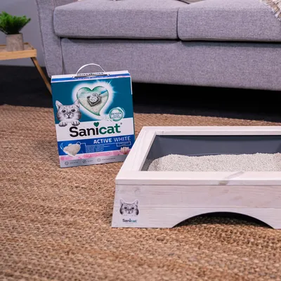 Litière pour chat Sanicat Active White, boîte avec texte 'Oxygen Odour Control' et bac à litière rempli de litière blanche visible au premier plan.