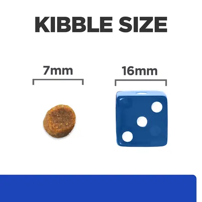 Kibble Size felirat, balra 7 mm-es táp szemcse, jobbra 16 mm-es kék dobókocka méretösszehasonlításként.