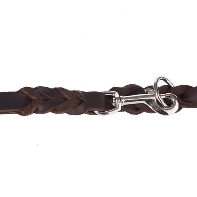 Laisse tressée en cuir marron avec mousqueton métallique argenté visible à l’extrémité.