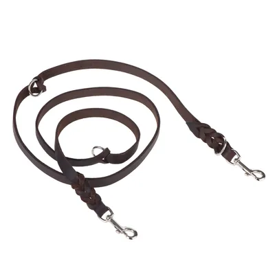 Laisse pour chien en cuir marron avec deux mousquetons métalliques et anneaux, tressage visible à chaque extrémité.