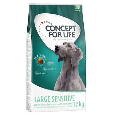 Concept for Life Large Sensitive, koiranruoka herkkävatsaisille koirille 15 kuukaudesta alkaen, 12 kg, erityinen koostumus ruoansulatuksen ja immuunituen tueksi.