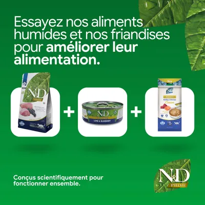 N&D Prime croquettes, N&D Prime agneau & myrtille pâtée et N&D Prime adulte crème illustrés. Développé pour une nutrition améliorée, formulé scientifiquement.
