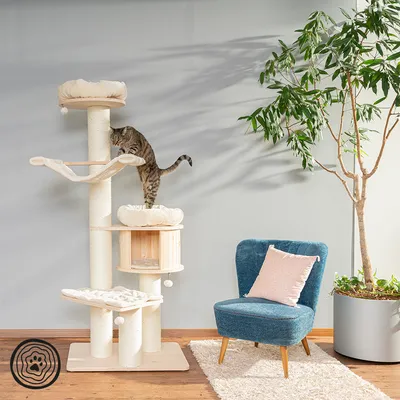 Kratzbaum aus Holz mit mehreren Ebenen, Liegeflächen und Höhle. Katze klettert darauf. Im Hintergrund ein Sessel und eine Pflanze.