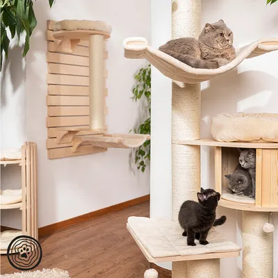 Kratzbaum aus Holz mit mehreren Ebenen, Sisalstämmen und Liegeflächen. Drei Katzen nutzen die Plattformen und Höhle. Wandmontiertes Kratzbrett sichtbar im Hintergrund.