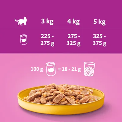 Tabela de alimentação para gatos: 3 kg 225–275 g, 4 kg 275–325 g, 5 kg 325–375 g. Equivalência: 100 g comida húmida = 18–21 g ração seca. Prato com comida húmida visível.