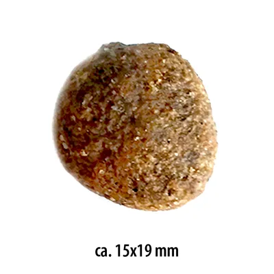 Yksi ruskea ruokapala, koko noin 15x19 mm.