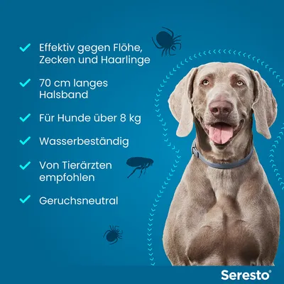 Seresto Halsband, effektiv gegen Flöhe, Zecken und Haarlinge. 70 cm lang, für Hunde über 8 kg, wasserbeständig, von Tierärzten empfohlen, geruchsneutral.