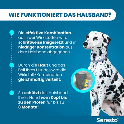 Seresto Halsband: Wirkstoffe werden schrittweise freigesetzt, gleichmäßig über Haut und Fell verteilt. Schutz für Hunde vom Kopf bis zu den Pfoten für bis zu 8 Monate.