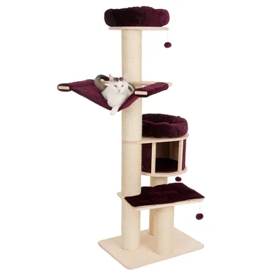 Ansamblu de joacă pentru pisici cu stâlpi din sisal, platforme și culcușuri mov, hamac central și o pisică albă cu pete gri așezată pe hamac. Bază și structura din lemn.