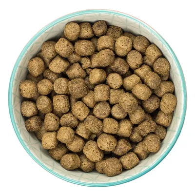 Bowl with brown, round dry food pieces. Product image for pet food.