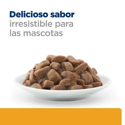 Comida húmeda para mascotas en un plato blanco. Texto visible: Delicioso sabor irresistible para las mascotas.