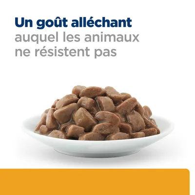 Un goût alléchant auquel les animaux ne résistent pas, assiette de bouchées en sauce pour animaux présentée sur fond blanc.
