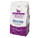 Monge Natural Superpremium Adult Cat