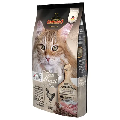 Leonardo Cat Food Adult Maxi GF, spannmålsfritt recept, med extra färsk fågel, särskilt lämpligt för stora raser, 7,5 kg förpackning.