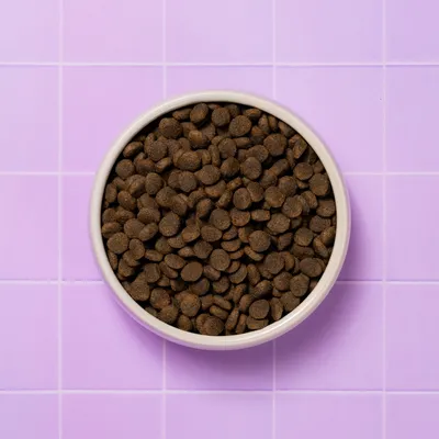 Pooch and Mutt Health & Digestion