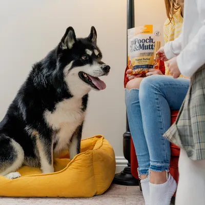Pooch & Mutt Peanut Butter Dental Sticks