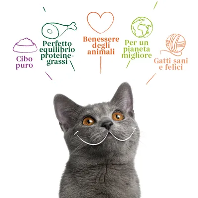 Cibo puro, Perfetto equilibrio proteine-grassi, Benessere degli animali, Per un pianeta migliore, Gatti sani e felici. Testo con disegni sopra un gatto grigio.