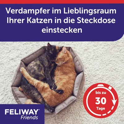 Feliway Friends Verdampfer in den Lieblingsraum Ihrer Katzen stecken. Wirkt bis zu 30 Tage.