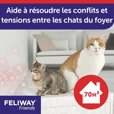 Aide à résoudre les conflits et tensions entre les chats du foyer, Feliway Friends, 70 m² indiqué dans une icône maison. Deux chats assis devant un canapé.