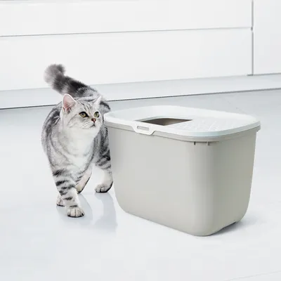 Caja de arena para gatos con entrada superior, diseño gris, junto a un gato gris y blanco atigrado. Adecuada para interiores modernos.