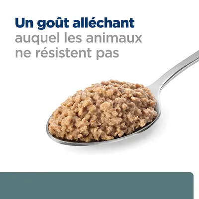 Un goût alléchant auquel les animaux ne résistent pas, texte visible au-dessus d’une cuillère contenant de la pâtée pour animaux.