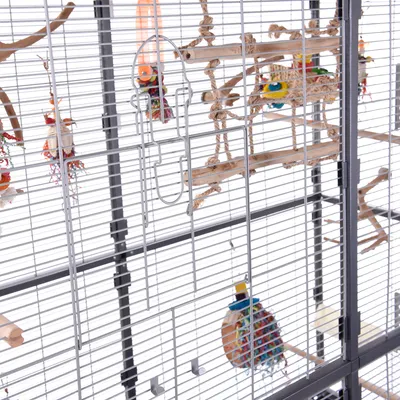Jaula metálica para pájaros con columpios, perchas de madera y juguetes colgantes en el interior. Estructura de barrotes verticales y horizontales.