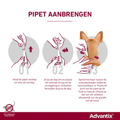 Instructie voor het aanbrengen van een Advantix pipet bij honden, met drie stappen en tekst: niet gebruiken voor katten. Stapsgewijze uitleg en illustraties zichtbaar.