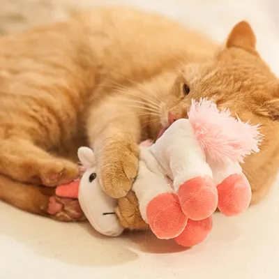 Rode kat speelt met een pluchen eenhoornspeeltje met roze en witte details.