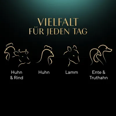 Texte en allemand : Vielfalt für jeden Tag. Illustrations et textes : Huhn & Rind, Huhn, Lamm, Ente & Truthahn. Les textes sont en langue allemande.