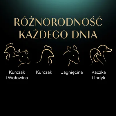 Różnorodność każdego dnia. Warianty: Kurczak i Wołowina, Kurczak, Jagnięcina, Kaczka i Indyk. Różnorodność każdego dnia. Warianty: Kurczak i Wołowina, Kurczak, Jagnięcina, Kaczka i Indyk.