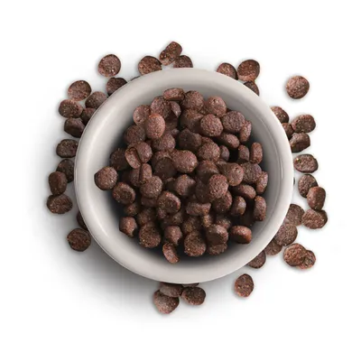 Brown dry food kibbles in a white bowl, some kibbles outside the bowl on a white background.