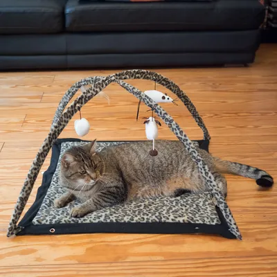 Alfombra de juego con estampado de leopardo y arcos curvados, equipada con juguetes colgantes como ratones y pelotas.