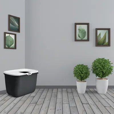 Caja de arena negra para gatos con tapa blanca y entrada, situada en una habitación con suelo de madera, plantas verdes en macetas blancas y cuadros de hojas en la pared.
