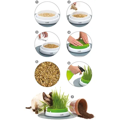 Instructions for using Catit cat grass: add seeds, add water, cover, let grow, spray regularly. Cat eats grown grass.