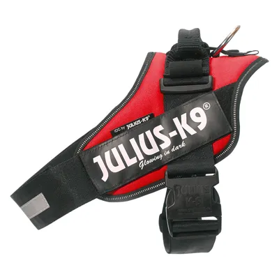 Julius-K9 koiran valjaat, musta ja punainen. Teksti: JULIUS-K9 Glowing in dark, IDC by Julius-K9. Muovinen solki ja metallinen kiinnitysrengas näkyvissä.