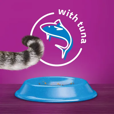 Texten 'with tuna', blå fiskillustration, blå matskål med matrester och en kattsvans synlig. Texten är på engelska.