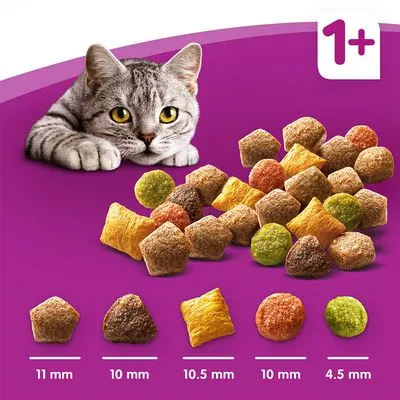 Droogvoerbrokken voor katten, verschillende vormen en kleuren. Afmetingen: 11 mm, 10 mm, 10,5 mm, 10 mm, 4,5 mm. Label linksboven: 1+.