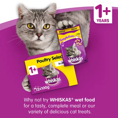 Confezione Whiskas Poultry Selection in Jelly 12x100g e Temptations Mega Pack, visibile scritta 1+ anni. Marchio Whiskas ben visibile su entrambe le confezioni.