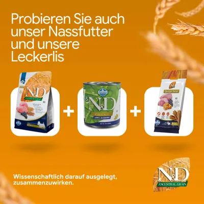 Probieren Sie auch unser Nassfutter und unsere Leckerlis. Wissenschaftlich darauf ausgelegt, zusammenzuwirken. Abgebildet: N&D Trockenfutter, Nassfutter, Dental Treat.