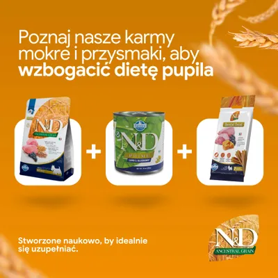 Na zdjęciu: karma sucha N&D Ancestral Grain, mokra karma N&D Prime Jagnięcina i czarne jagody oraz przysmak dentystyczny N&D Dental Treat. Opracowane naukowo dla optymalnej suplementacji.