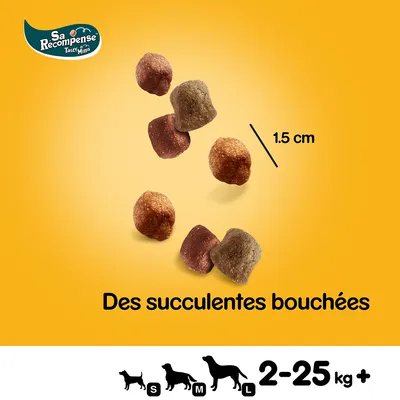 Sa Récompense Tasty Minis, bouchées pour chiens de 1,5 cm, adaptées aux tailles S à L, poids 2–25 kg+, texte : Des succulentes bouchées.